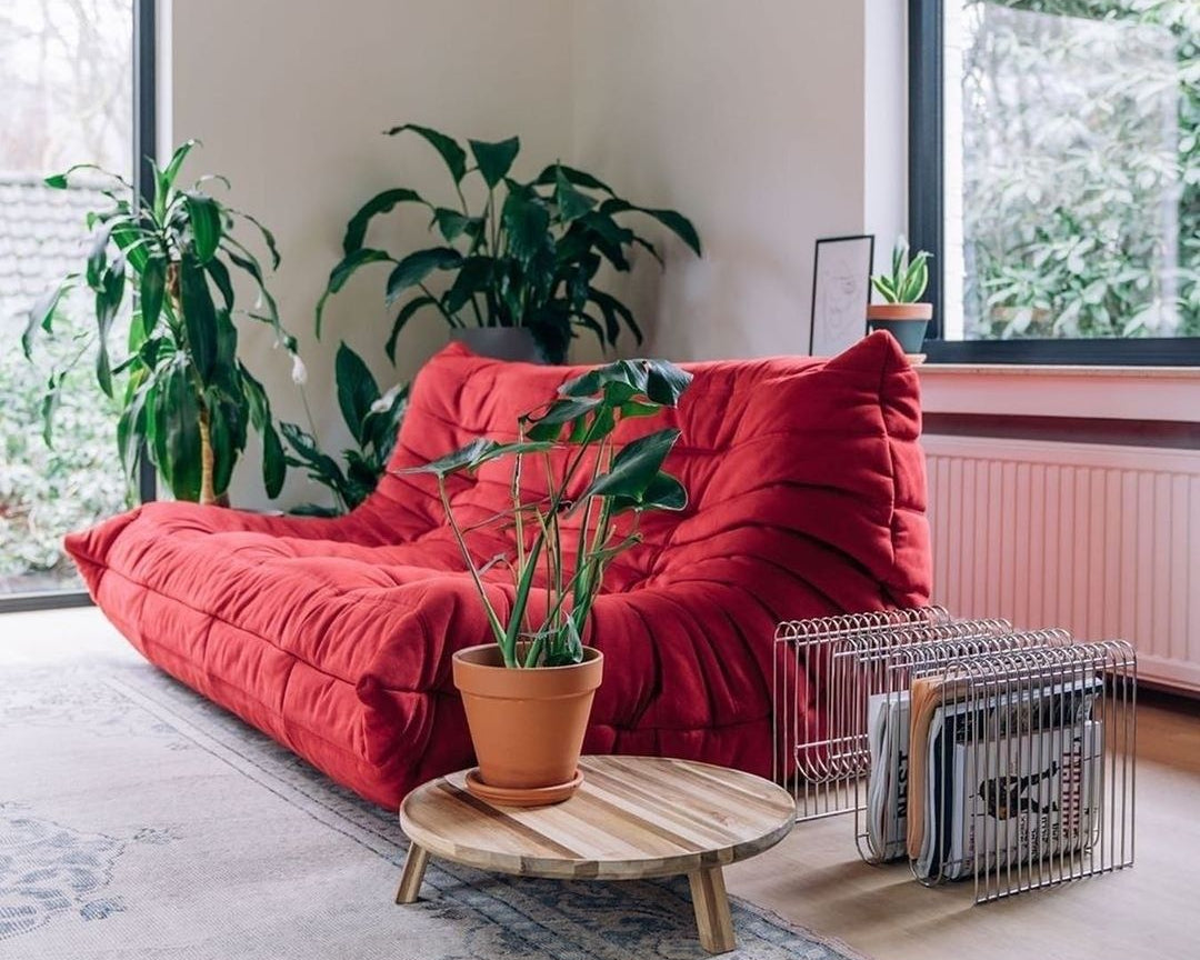 Photo : location meublée décorée